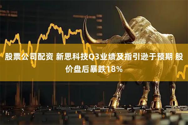 股票公司配资 新思科技Q3业绩及指引逊于预期 股价盘后暴跌18%